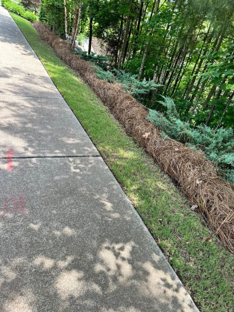 Imagen-de-WhatsApp-2025-09-16-a-las-06.59.35_ba7fc3a5