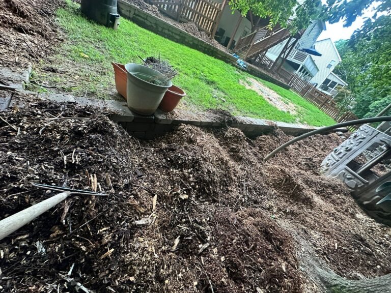 Imagen-de-WhatsApp-2025-09-16-a-las-06.59.41_99ee30b3