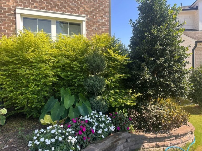 Imagen-de-WhatsApp-2025-09-16-a-las-06.59.42_dcda4266