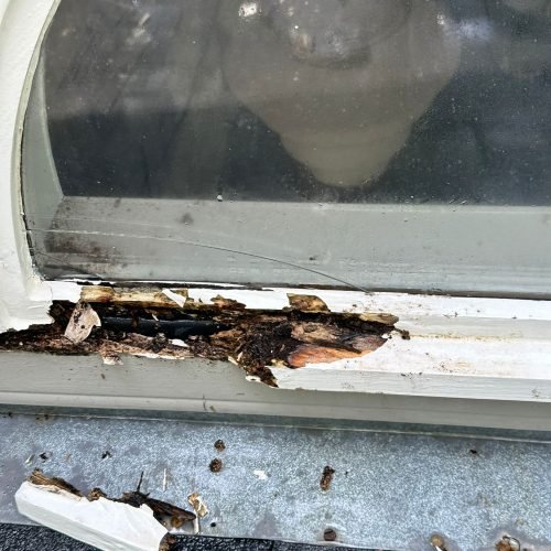 WhatsApp Image 2025-09-03 at 1.11.40 PM