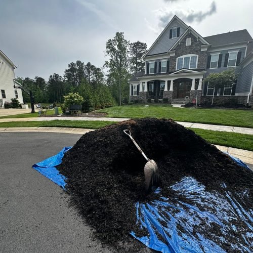 WhatsApp Image 2025-09-03 at 1.11.41 PM (1)