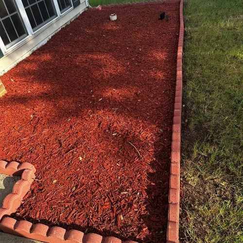 WhatsApp Image 2025-09-03 at 1.11.43 PM (3)