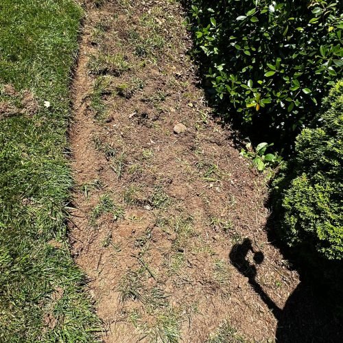 WhatsApp Image 2025-09-03 at 1.11.44 PM (2)