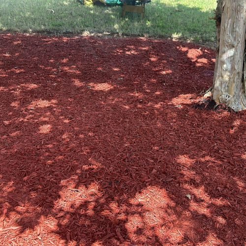 WhatsApp Image 2025-09-03 at 1.11.45 PM (3)