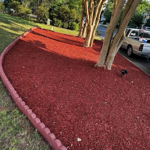 WhatsApp Image 2025-09-03 at 1.11.46 PM (1)