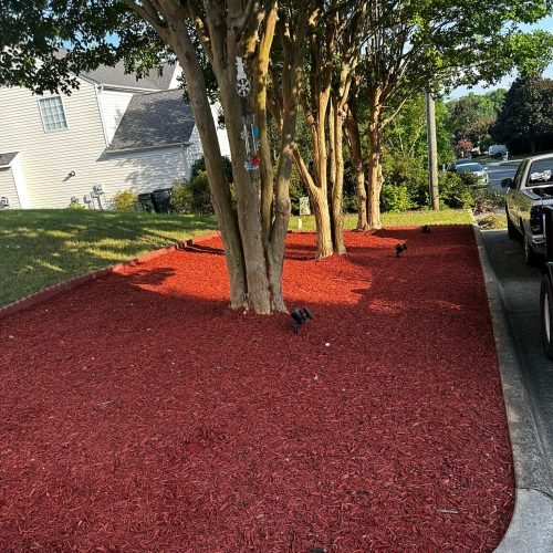 WhatsApp Image 2025-09-03 at 1.11.46 PM (2)