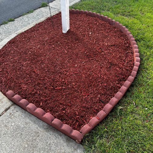 WhatsApp Image 2025-09-03 at 1.11.46 PM