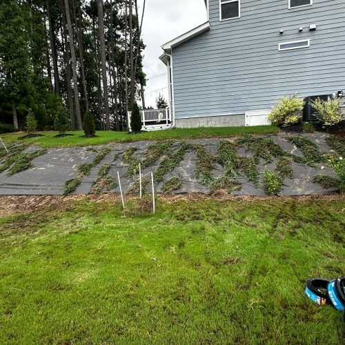 WhatsApp Image 2025-09-03 at 1.11.47 PM (1)