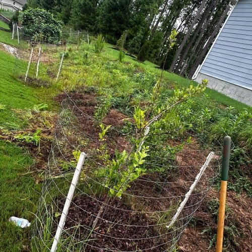 WhatsApp Image 2025-09-03 at 1.11.47 PM