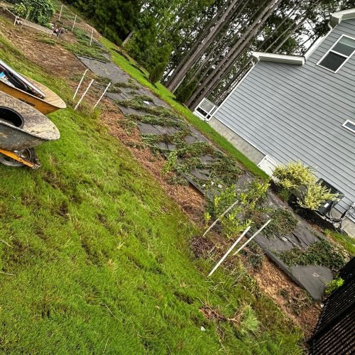 WhatsApp Image 2025-09-03 at 1.11.48 PM