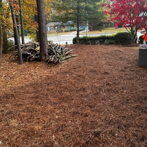 WhatsApp Image 2025-09-03 at 1.11.49 PM (1)