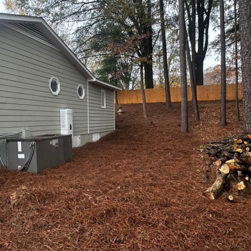 WhatsApp Image 2025-09-03 at 1.11.49 PM (2)