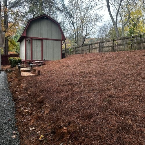 WhatsApp Image 2025-09-03 at 1.11.49 PM