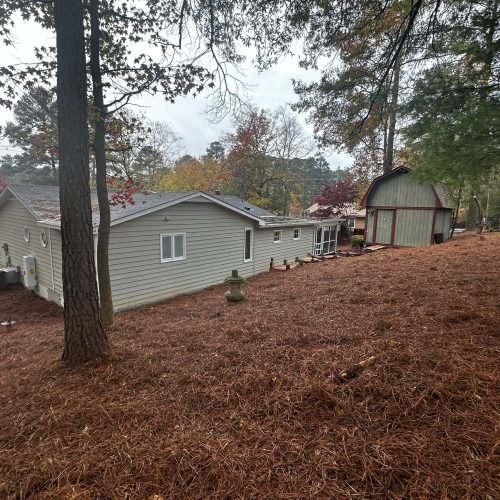 WhatsApp Image 2025-09-03 at 1.11.50 PM (1)