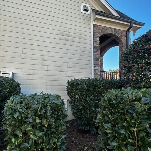 WhatsApp Image 2025-09-03 at 1.11.50 PM (2)