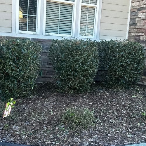 WhatsApp Image 2025-09-03 at 1.11.50 PM (3)