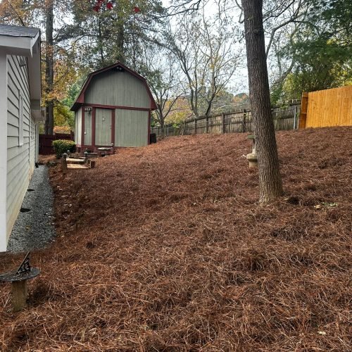 WhatsApp Image 2025-09-03 at 1.11.50 PM