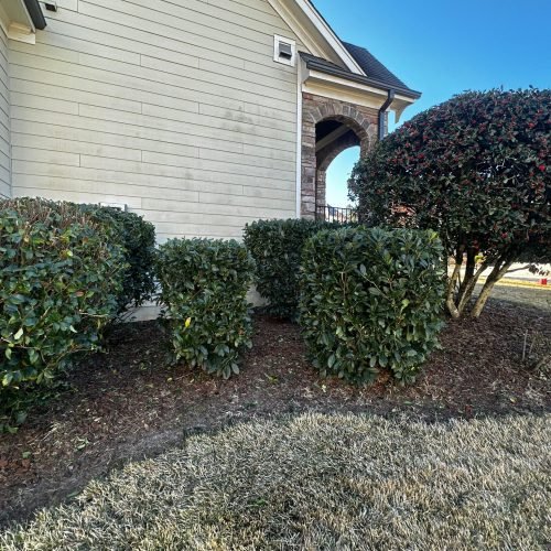 WhatsApp Image 2025-09-03 at 1.11.51 PM (1)