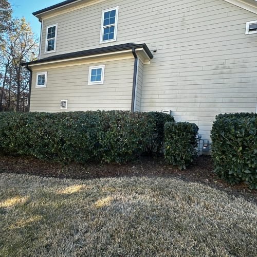 WhatsApp Image 2025-09-03 at 1.11.51 PM (2)