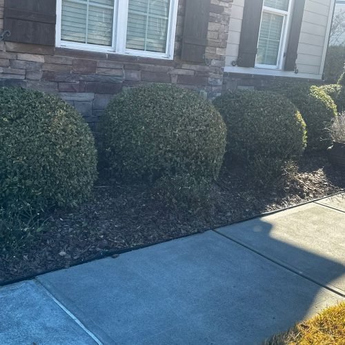 WhatsApp Image 2025-09-03 at 1.11.51 PM