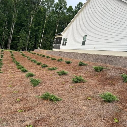 WhatsApp Image 2026-04-17 at 2.42.50 PM (3)