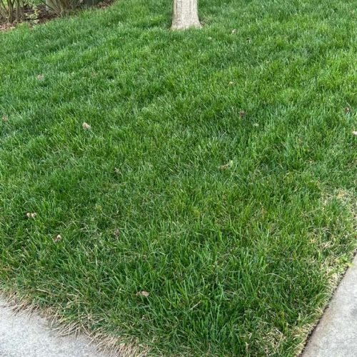 WhatsApp Image 2026-04-17 at 2.42.53 PM