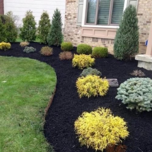 WhatsApp Image 2026-04-17 at 2.43.05 PM (5)