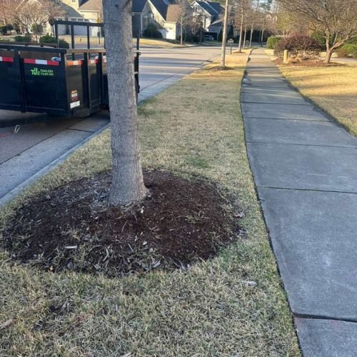 WhatsApp Image 2026-04-17 at 2.43.06 PM (2)