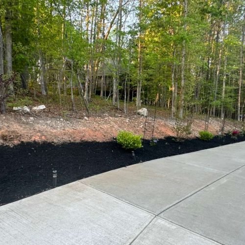 WhatsApp Image 2026-04-17 at 2.43.07 PM (3)