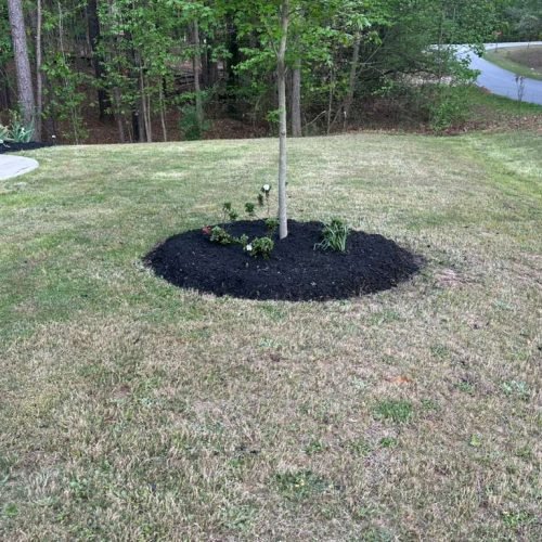 WhatsApp Image 2026-04-17 at 2.43.07 PM (4)