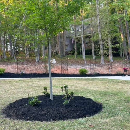 WhatsApp Image 2026-04-17 at 2.43.08 PM (3)