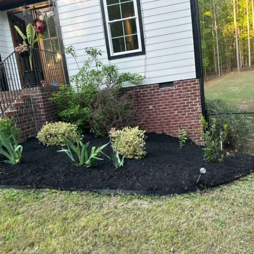 WhatsApp Image 2026-04-17 at 2.43.08 PM