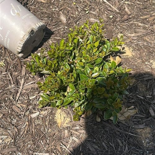 WhatsApp Image 2026-04-17 at 2.43.11 PM (1)