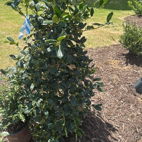 WhatsApp Image 2026-04-17 at 2.43.11 PM (2)