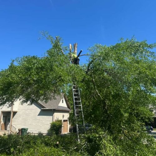 WhatsApp Image 2026-04-17 at 2.43.11 PM (3)