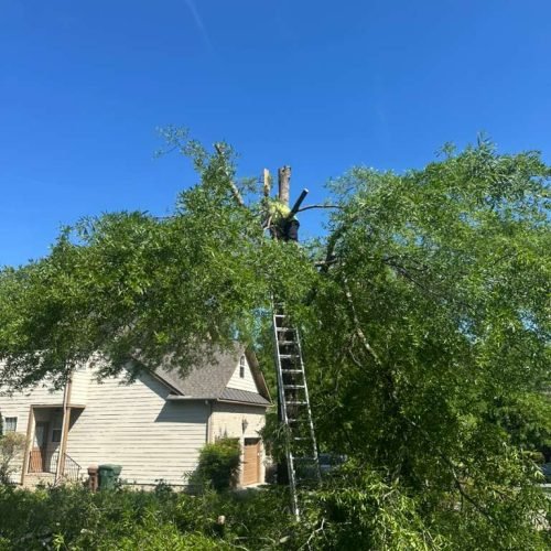 WhatsApp Image 2026-04-17 at 2.43.11 PM