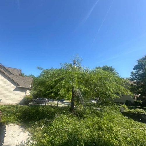 WhatsApp Image 2026-04-17 at 2.43.12 PM (1)