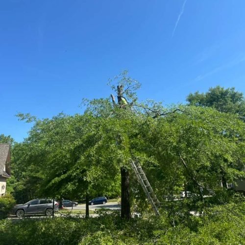 WhatsApp Image 2026-04-17 at 2.43.12 PM (2)