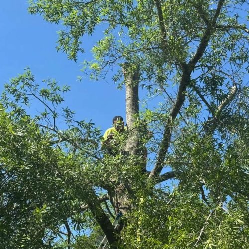 WhatsApp Image 2026-04-17 at 2.43.12 PM (3)