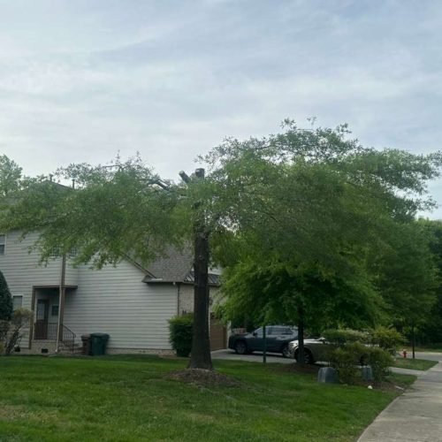 WhatsApp Image 2026-04-17 at 2.43.12 PM (4)