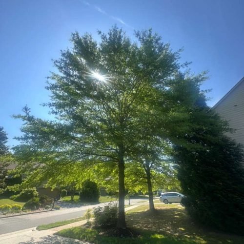 WhatsApp Image 2026-04-17 at 2.43.12 PM