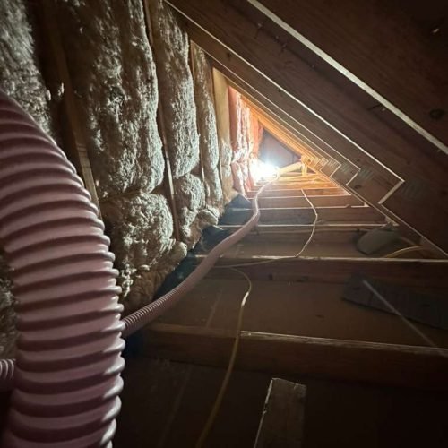 WhatsApp Image 2026-04-17 at 2.43.13 PM (1)