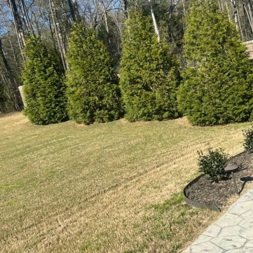 WhatsApp Image 2026-04-17 at 2.43.20 PM (5)