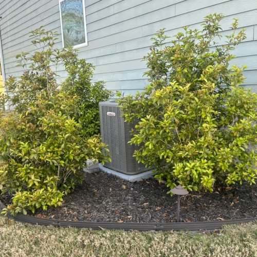 WhatsApp Image 2026-04-17 at 2.43.21 PM (2)