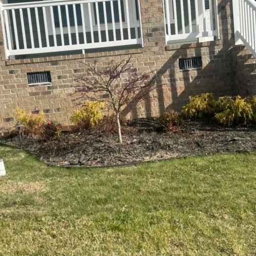 WhatsApp Image 2026-04-17 at 2.43.21 PM (3)