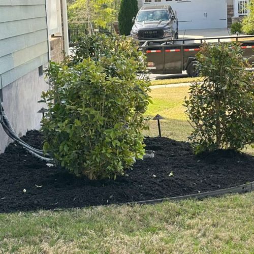 WhatsApp Image 2026-04-17 at 2.43.22 PM (2)