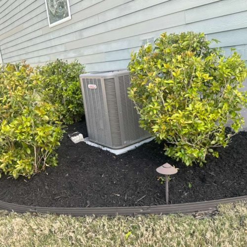 WhatsApp Image 2026-04-17 at 2.43.22 PM (3)