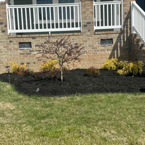 WhatsApp Image 2026-04-17 at 2.43.22 PM (4)