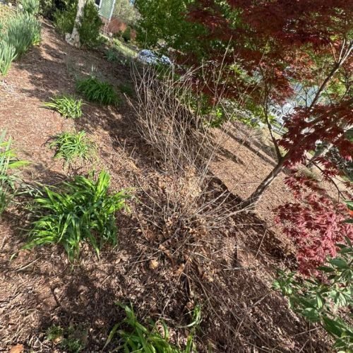 WhatsApp Image 2026-04-17 at 2.43.22 PM (5)