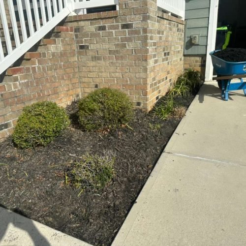 WhatsApp Image 2026-04-17 at 2.43.22 PM